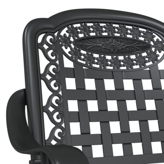 42002371 7 Scaun pentru Grădină 2 pcs Negru 55 x 56.5 x 91cm Aluminiu 42002371 7