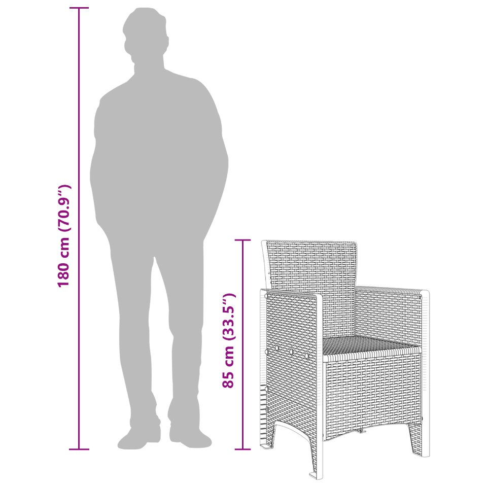 847448 11 Scaun pentru Grădină 2 pcs Antracit Dimensiune: 53 x 49 x 85 cm Scaun pentru Grădină 2 pcs Antracit Dimensiune: 53 x 49 x 85 cm - imagine 11