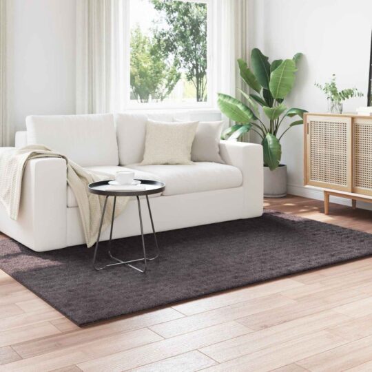 Covoare de zonă Dreptunghiular Antracit 170 x 120 cm